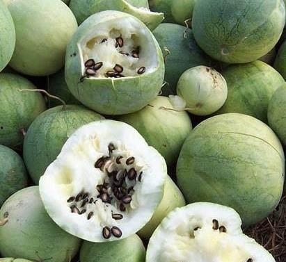 吃瓜黑料,吃瓜黑料背后的真相与反思