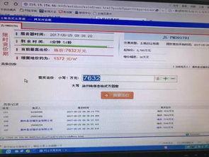 网络爆料平台,真相与谣言的较量